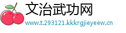 文治武功网